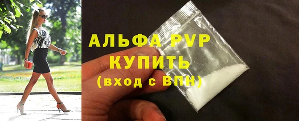 индика Пролетарск