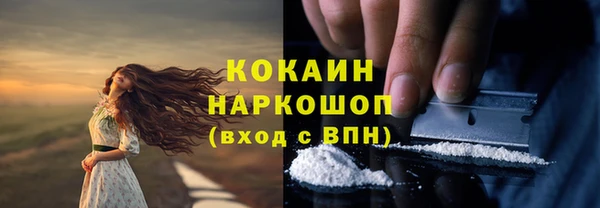 Альфа ПВП Аркадак