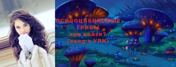 Альфа ПВП Аркадак