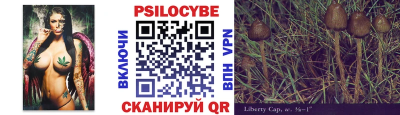 Галлюциногенные грибы GOLDEN TEACHER  блэк спрут ссылка  Велиж 